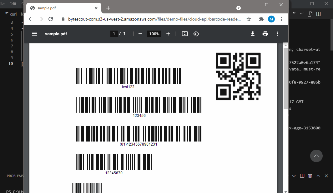 Barcode Reader API In Action