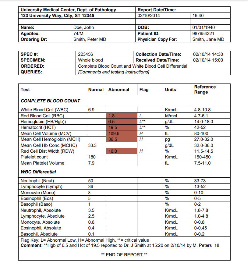 Screenshot of Sample Blood Report PDF