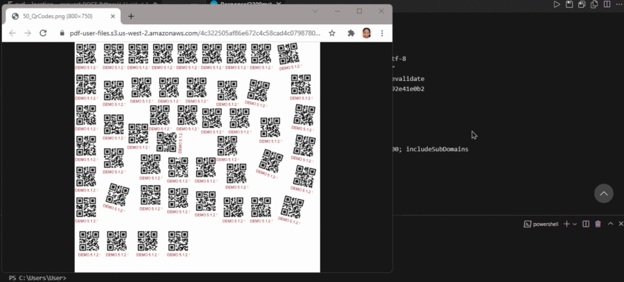 50 QR Codes Input And Output