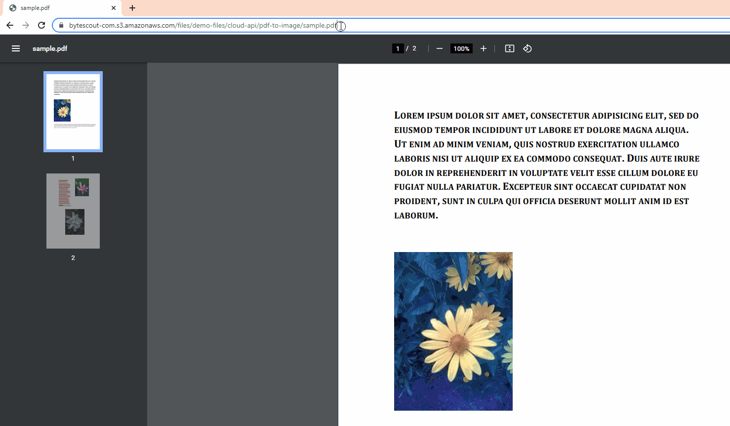 Sample Source PDF and Converted Image