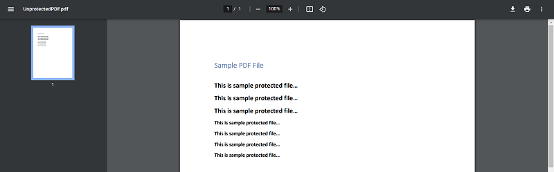 Screenshot of the Output PDF