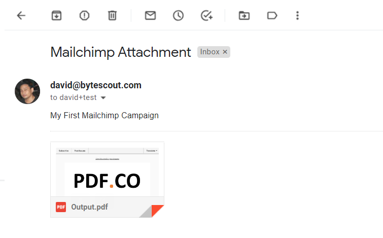 PDF Attachment Result