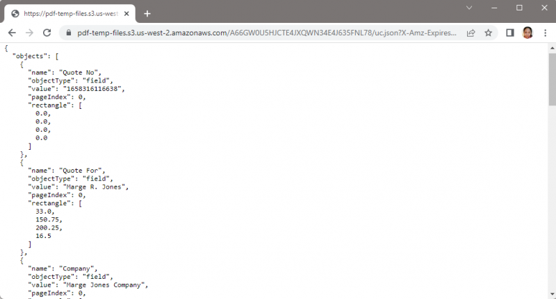 Document Parser Output