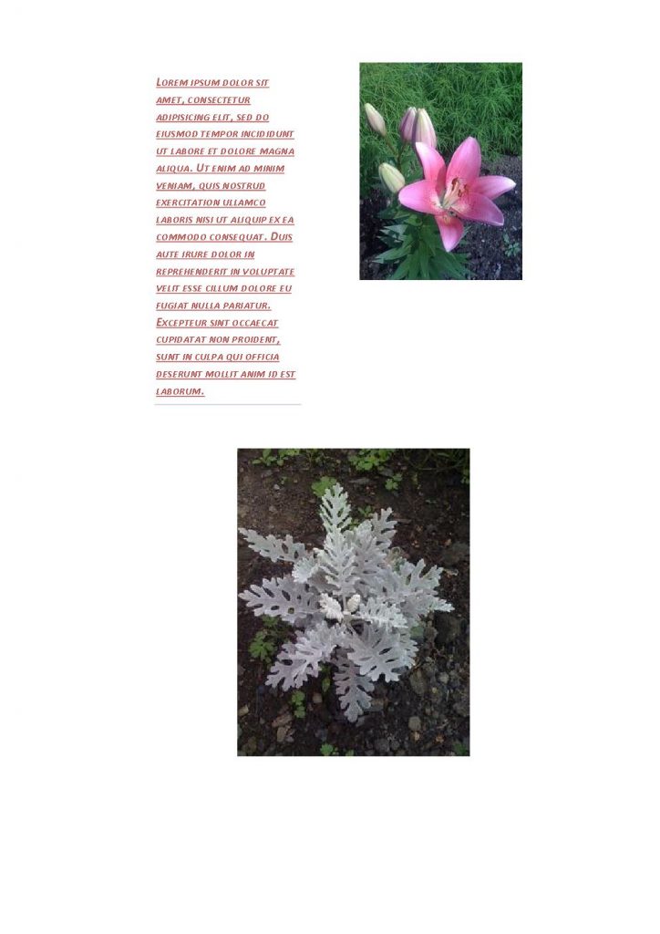 Output Image 1