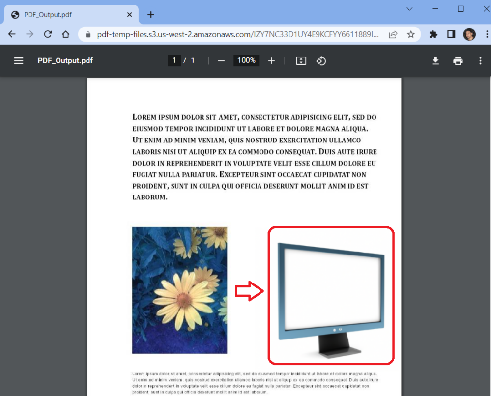 PDF Document with the Inserted Image