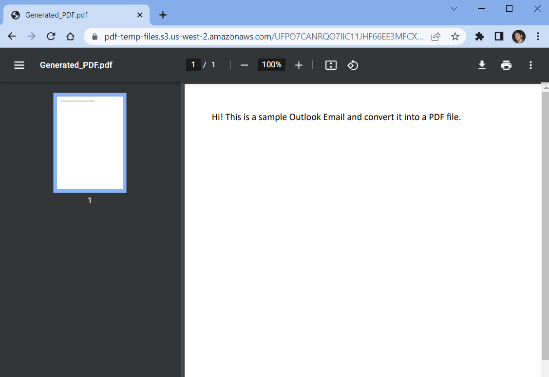 Generated PDF Output